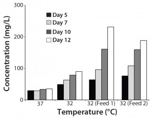 Figure 3: Effect of different culture conditions on antibody production by CHO-KS cells transfected using PEI; antibody titers were determined at several time points as shown.