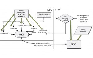 Figure 1: Biosolve Process cost of goods (CoG) and net present value (NPV) model configuration 