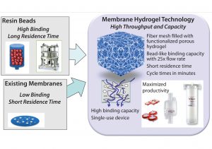 Figure 7: Membrane hydrogel technology (Natrix Separations) — single-use, functionalized, porous hydrogel supporting higher throughput and loading than conventional resins 