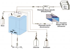 Figure 2: Experimental set-up for comparative cell culture study. 