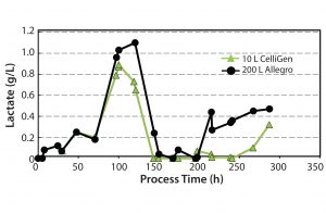 Figure 7: Lactate concentration profile 