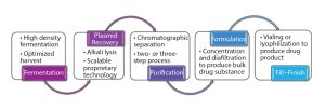 Figure 3: Outline of plasmid DNA production process 