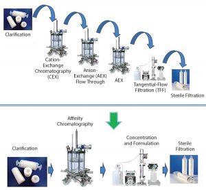 Figure 4: A paradigm shift in viral vector purification using the POROS CaptureSelect technology; standard purification processes require multiple chromatographic, filtration, and capture steps, which results in low yields and long process development timelines. POROS CaptureSelect technology obtains high purity and yield in a single step, which simplifies processes, shortens development timelines, and increases speed of therapeutics to market. 