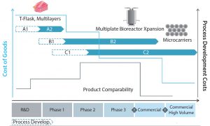 Figure 9: The path of both manufacturing cost of goods (blue line) and process development costs (grey line) in route to industrialiaation; arrows A1, A2, B1, B2, C1, and C2 represent the different technologies available for the large-scale manufacture of allogeneic adherent cells (25). 