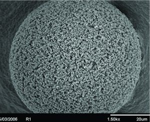 Figure 3: Scanning electron microscope (SEM) of a POROS bead showing large pore structures. The throughpores, in addition to the 50 µm bead size, increases capacity for viral vectors and other large biomolecules. 