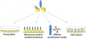 14-10-ShahSS-Fig2