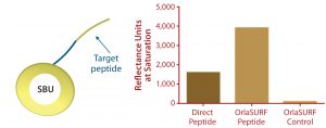 Figure 4: Saturation binding capacity of immobilized peptide surfaces; a direct peptide surface was created using a cysteine-coupling kit on the CM5 chip (GE Healthcare); control channel was a mock-treated surface with no peptide. The OrlaSURF peptide was immobilized using a standard apply-and-wash self-assembly process with no other chemistry involved; control channel had unmodified OrlaSURF surface-binding unit (SBU). Following surface preparation, 30 µg/mL antibody was flowed over both channels in bursts of five-minute injections at a flow rate of 5 µL/min until no further signal increase was observed. SBU 