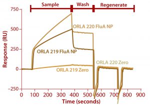 Figure 7: Binding of FluA NP on a Biacore instrument with TBS-T running buffer at a flow rate of 5 µL/min throughout; sample (FluA NP or buffer control zero) was injected for five minutes, followed by a wash with TBS-T for two minutes and regeneration with two 30-second injections of 100 mM. 