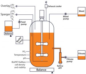 Figure 1: Set-up of a concentrated perfusion or fed-batch set-up using the Biostat STR single-use bioreactor 