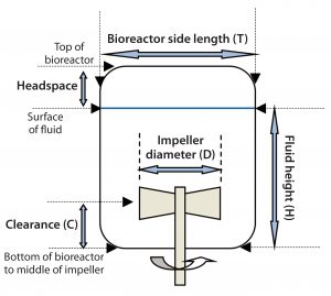 Figure 5: Dimensional representation of a bioreactor 