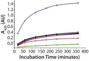 Figure 1: Several samples of recombinant protein were succinylated to increasing levels by varying the concentration of the succinylation reagent. After reaction with TNBS, each succinylated recombinant protein sample was measured for absorbance of remaining free amino groups. Note that the absorbance levels never plateau, even after almost six hours, preventing reliable use of this TNBS assay. 