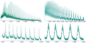 Figure 2: Intact ESI-MS spectra of both nonsuccinylated and succinylated proteins; upper figures represent the full charge envelope of the two proteins, and lower figures illustrate a narrower m/z charge range. Each m/z charge state of the nonsuccinylated protein was observed to be a primary species, whereas significant heterogeneity was seen for the charge states of the succinylated protein. 