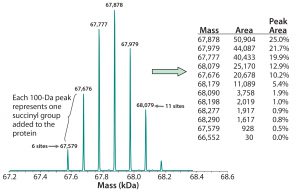 Figure 3: Deconvoluted MS charge-state data reveal the masses of individual succinylated protein species. Because each succinyl group adds 100 mass units to the recombinant protein (base MW ~67,000), the number of such groups present can be determined from the protein’s calculated mass. That allows for peak areas corresponding with each mass to be calculated, along with the percentage of the total for each species, as shown in the embedded table. 