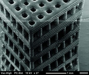 fabricated with stereolithography from a biocompatible and biodegradable polymer