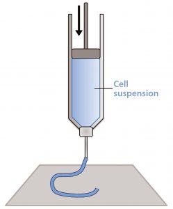 Figure 1: Schematic of a piston extrusion bioprinter; a cell suspension, molten thermoplastic, or viscous liquid is loaded into a syringe and extruded. 