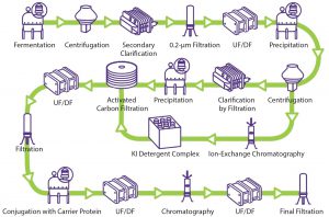 Figure 1: General polysaccharide conjugate vaccine process (UF/DF = ultrafiltration/diafiltration) 