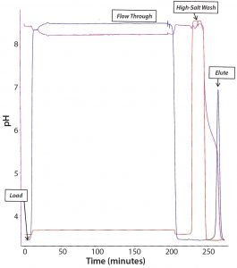 Figure 6: Chromatogram of the CaptivA resin capture step 