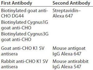 Table 2: First and second antibodies used for 2-D Western blot