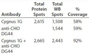 Table 5: Coverage of individual and mixed antibodies to BioWa CHO HCP estimated by PDQuest advanced 2-D gel analysis software