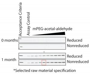 Figure 7: Formation of degradation product under accelerated degradation conditions 