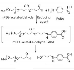 Figure 2: Derivatization of mPEG-acetalaldehyde impurity using PABA 