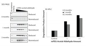 Figure 3: Formation of the drug substance degradation product reaches plateau after one-month under accelerated degradation conditions. 