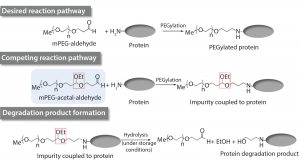 Figure 1: Proposed mechanism for the formation of the drug substance degradation product (2) 