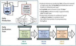 Figure 1: Right-sizing and rapid multicycling enables small-footprint downstream processing to match high-productivity upstream production (adapted from reference 1). 