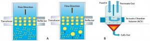 Figure 5: (a) Direction of cell movement and increase in size of cells at acoustic zone; (b) how accumulated cells at the base are collected and removed as sludge 