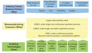 Figure 1: Roadmap development and structure 