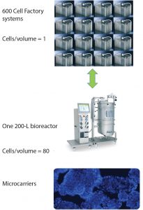 Figure 1: Efficiency of Lonza bioreactor platform over traditional 2D planar culture methods 