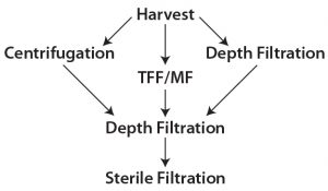 Figure 1: Harvest clarification options