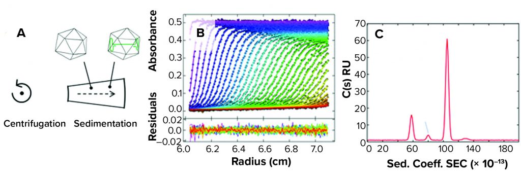 AUC helps to characterize AAV purity