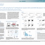 C-Expansion-T-Cells_230404a