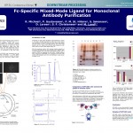 Fc-Specific Mix-Mode Ligand for Monoclonal Antibody Purification