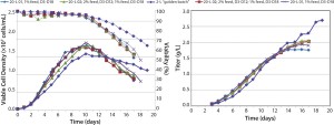 Figure 2: Cell culture process scale-up; (left) viable cell density (VCD) and viability; (right) titer
