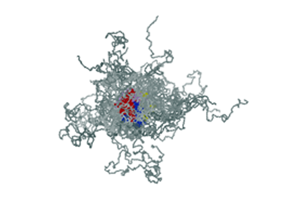 Downstream-MtViewPharm