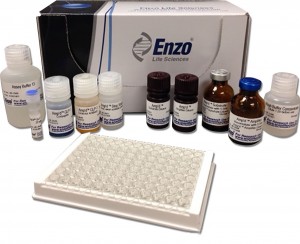 Amp’d™ GLP-1 ELISA Kit 