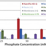 FIGURE 2: 10% BT BSA binding capacity: phosphate tolerance.