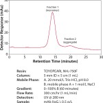 FIGURE 2: Purification of mAb on TOYOPEARL NH2 -750F column.