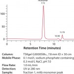 FIGURE 3: SEC analysis of purified mAb monomer from TOYOPEARL NH2 -750F (fraction 1)