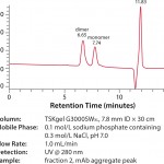 FIGURE 4: SEC analysis of mAb aggregate peak from TOYOPEARL NH2 -750F (fraction 2) 