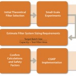 FIGURE 1: A process for successful scale-up