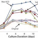 FIGURE 1: Cell growth trends with various basal and feed media combinations