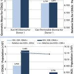 FIGURE 3: How the expression of the key “homing” receptor, CD62L (bars and left-hand y axis), can vary between culturing cells from two donors in the gas-permeable and Xuri W5 bioreactors; cell size is recorded on the right-hand y axis and plotted as a dotted line, illustrating that the difference in object intensity is not a consequence of cell size.