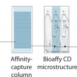 FIGURE 2: Nanoliter-scale immunoassays using proprietary CD technology