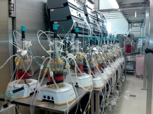 Photo 2: UniVessel SU vessel connected to existing bioreactor controllers at GSK Vaccines (Rixensart, Begium)