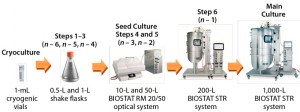 Figure 1: Seed train of the 1,000-L fed-batch cell culture run starts with one cryogenic vial before six consecutive cell-expansion steps using single-use shaker flasks and bioreactors. A 17-day fedbatch production process followed in a BIOSTAT STR 1000 system. The entire duration from cryogenic vial to 1,000-L harvest on day 17 took 35 days.