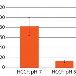 Figure 3: Turbidity measurement of the DBF filtrates at pH 7.0 and pH 5.0 for 10 different cell cultivations with an initial turbidity of 2,396–3,235 NTU