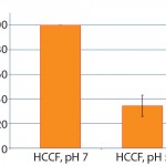 Figure 4: Mean residual DNA amount after DE filtration at pH 5.0 for 10 different cell culture supernatants, expressed in percentage of initial DNA concentration at pH 7.0, measured in the cell free supernatant; initial concentrations were 475–730 ppm (DNA quantitation with PicoGreen assay from Life Technologies).